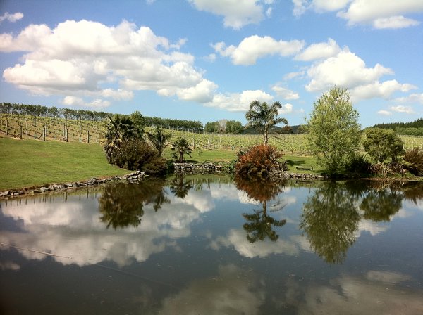 Pond at West Brook Winery