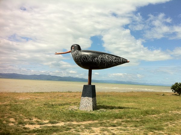 Worlds biggest Kiwi Bird