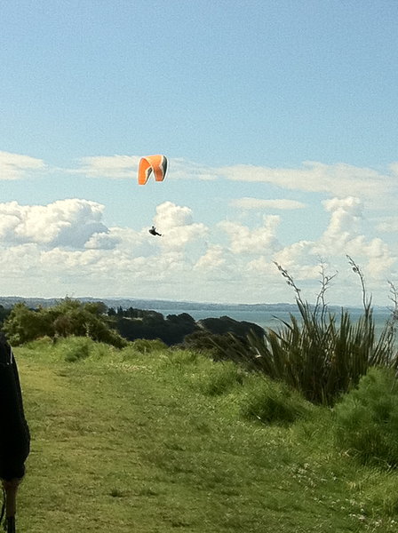 flying high in Auckland