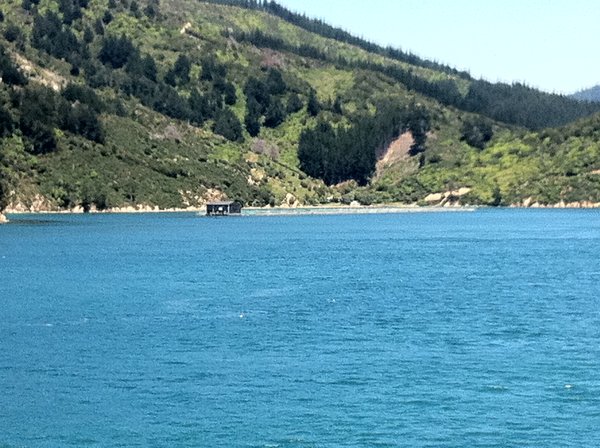 Coming into Picton