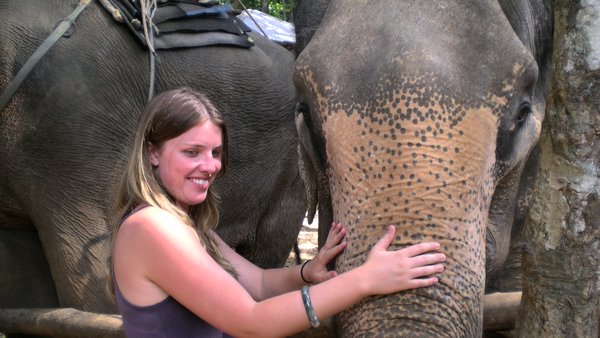 The elephants were so cool