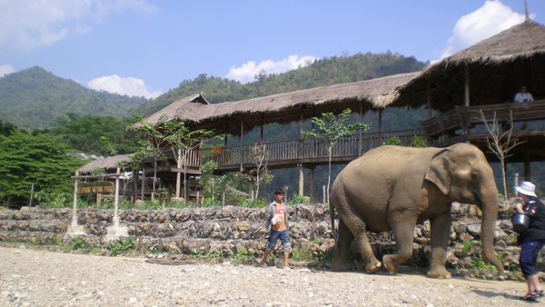Chaing Mai Elephant Nature Park