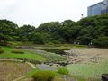 Imperial Palace East Garden