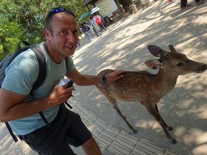 Me, Nara Deer