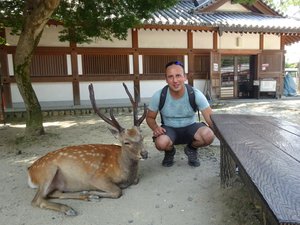 Me, Nara Deer