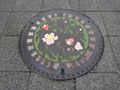 Matsuyama Manhole