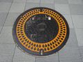 Hiroshima Manhole Cover No. 1