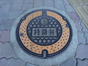 Fukuoka Manhole Cover