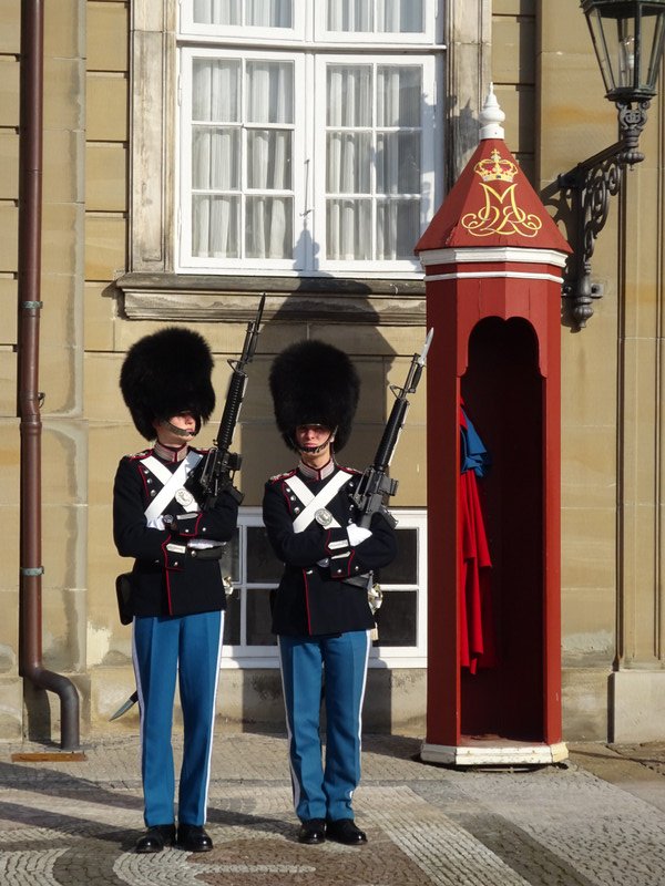 Royal Life Guards