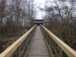 Boardwalk and Viewpoint