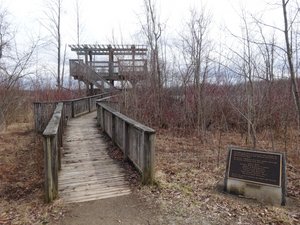 Observation Tower