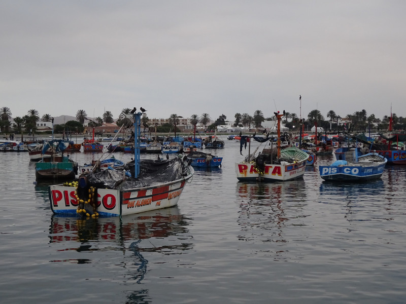 Paracas Boats