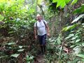 Jungle Hike