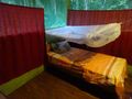 My Jungle Hut Room