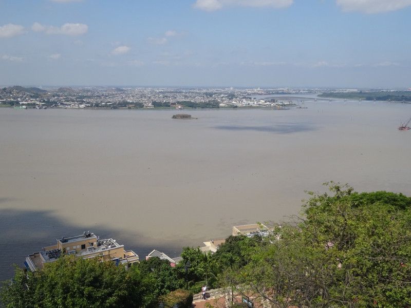 River Guayas, View from the Lighthouse