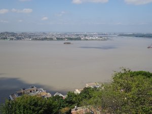 River Guayas, View from the Lighthouse