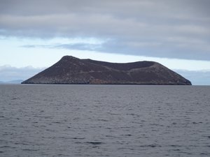 Daphne Major Island