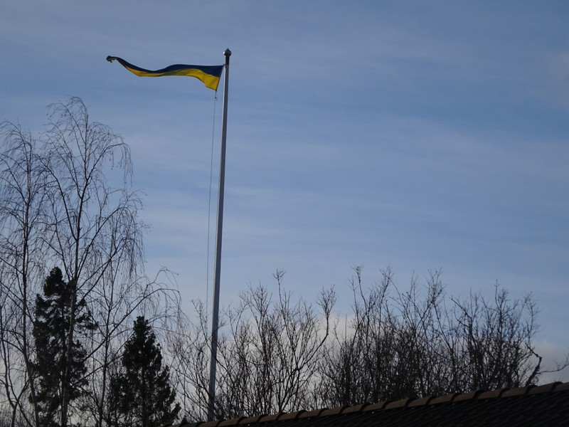 Swedish House Flag
