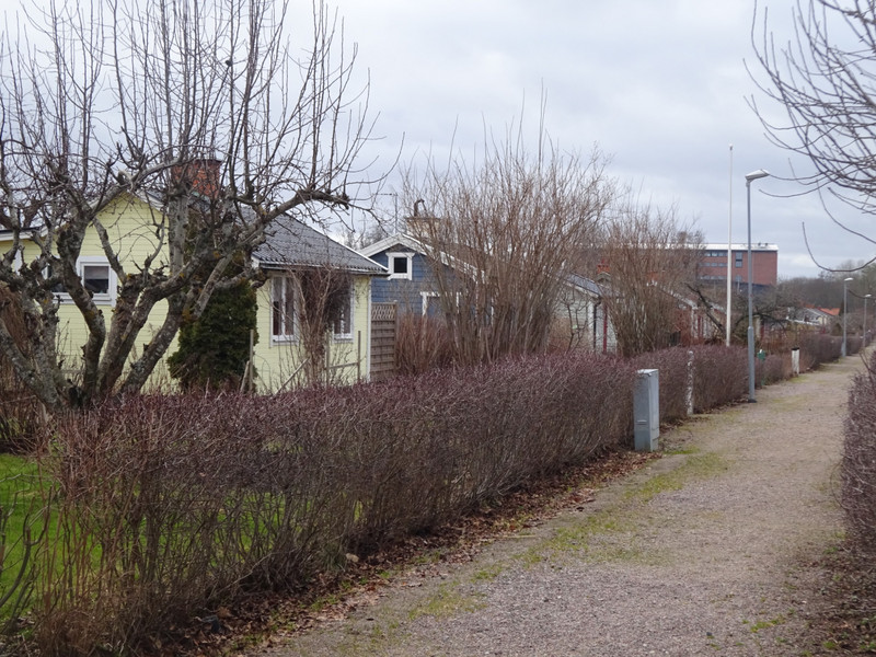 Local Houses
