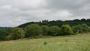 Riber Castle