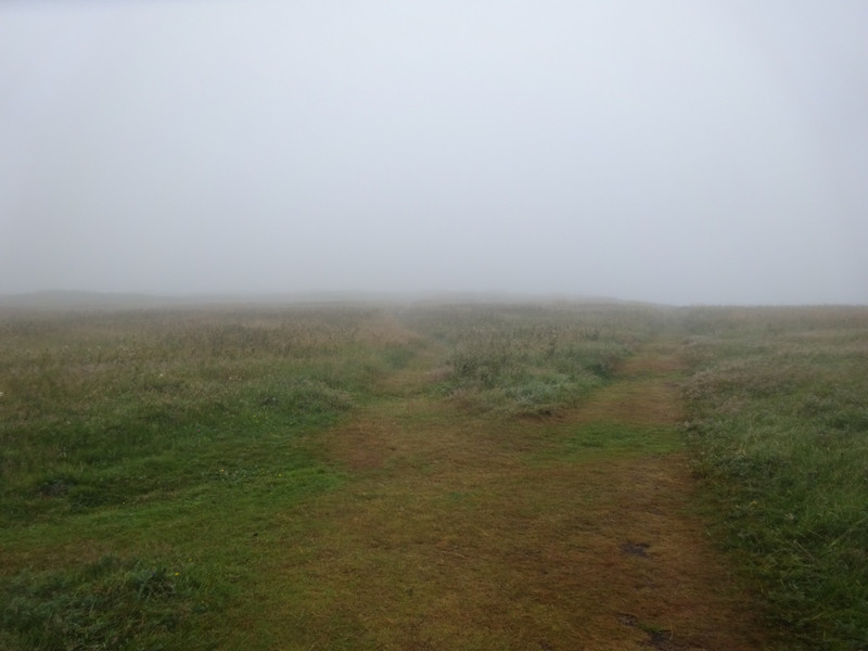 Misty Paths
