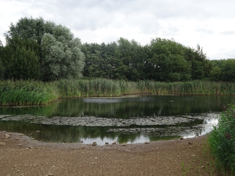 Waters' Edge Country Park