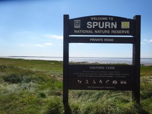 Welcome to Spurn National Nature Reserve