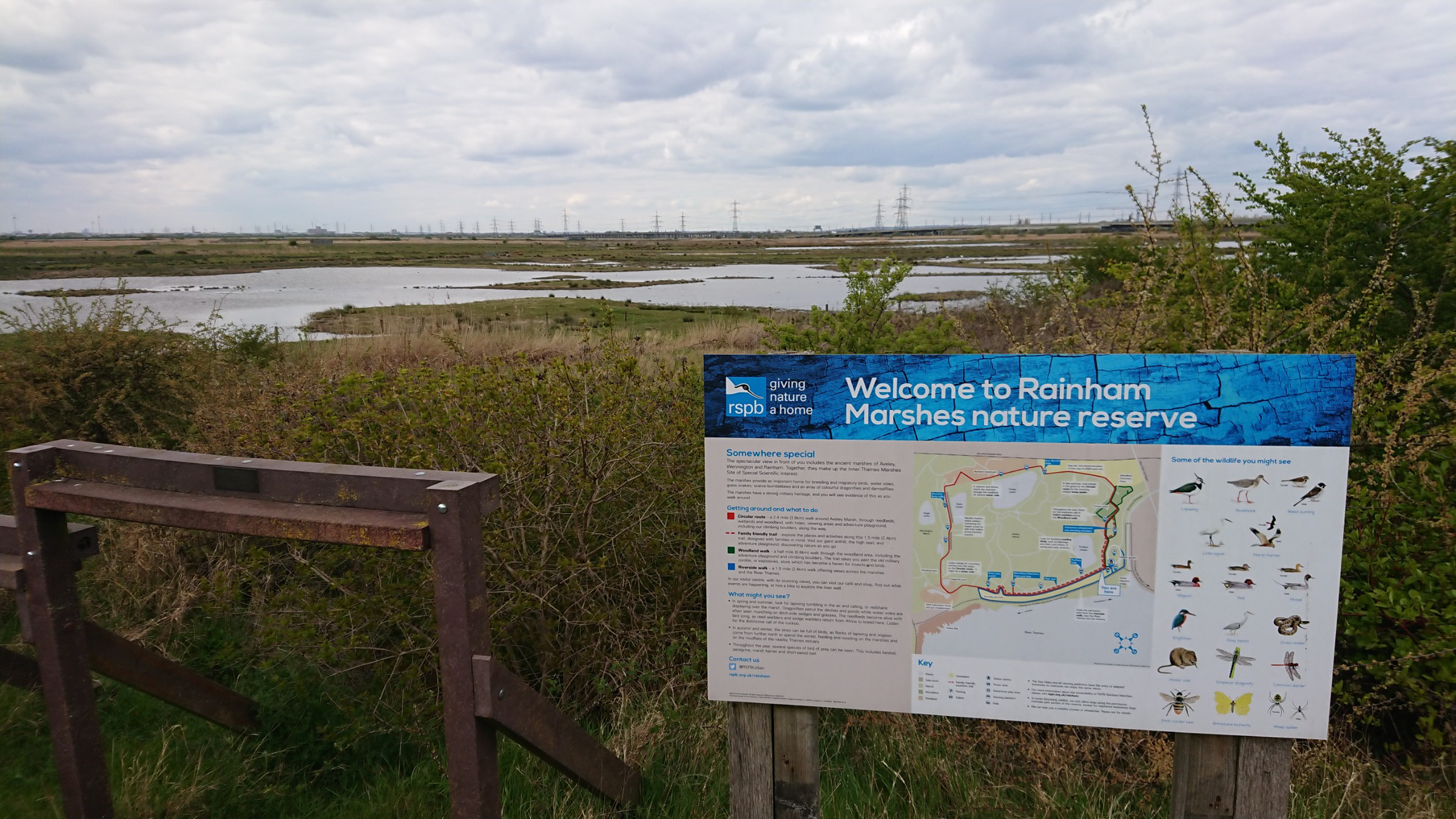 RSPB Rainham Marshes | Photo