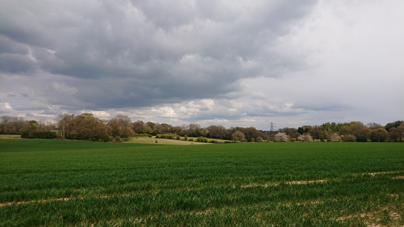Fields near Botley
