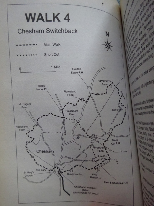 Walk 4: Chesham Switchback