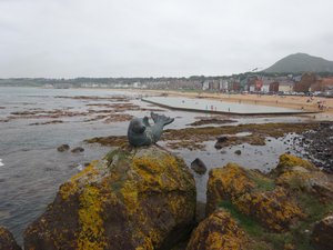 Seal Statue, Milsey Bay