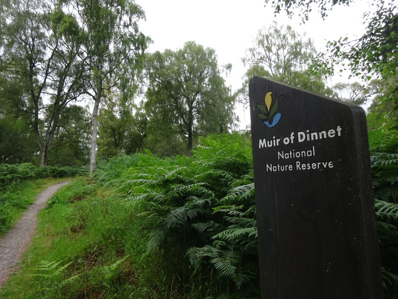 Muir of Dinnet National Nature Reserve
