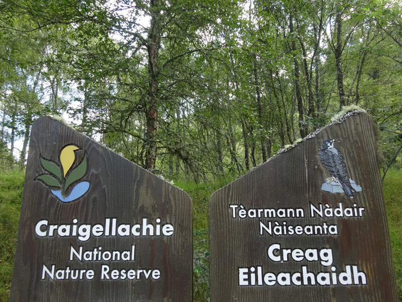 Craigellachie National Nature Reserve