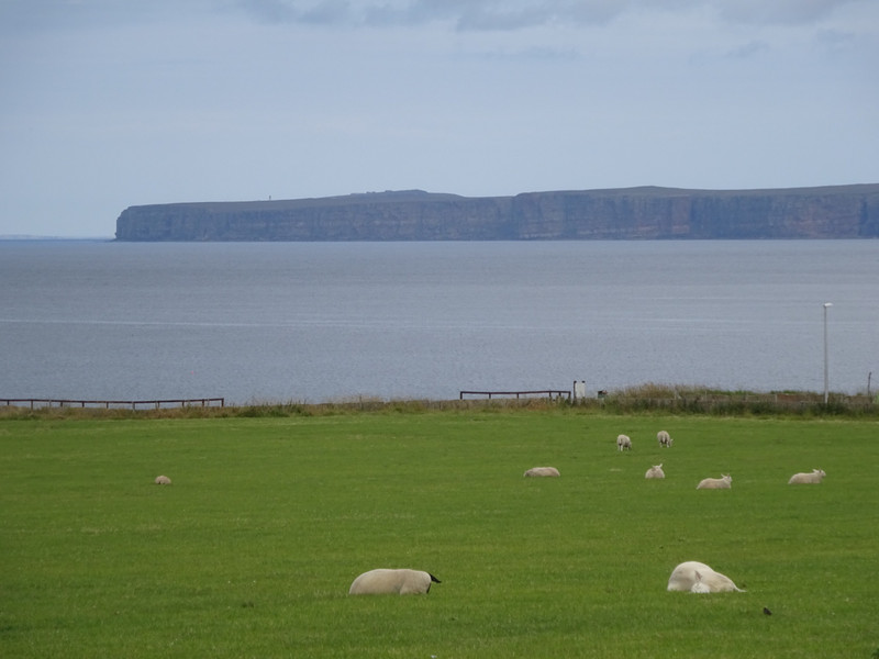 View to Dunnet Head