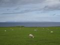 View to Orkney