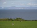 View to Orkney