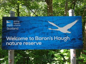 Baron's Haugh RSPB Reserve