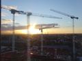Sunset and Cranes
