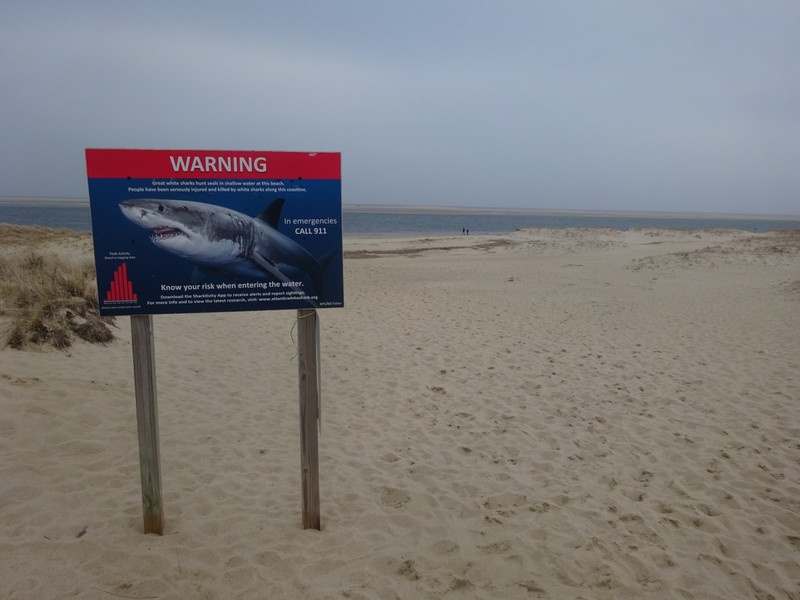 Great White Shark Warning Sign, Lighthouse Beach, Chatham