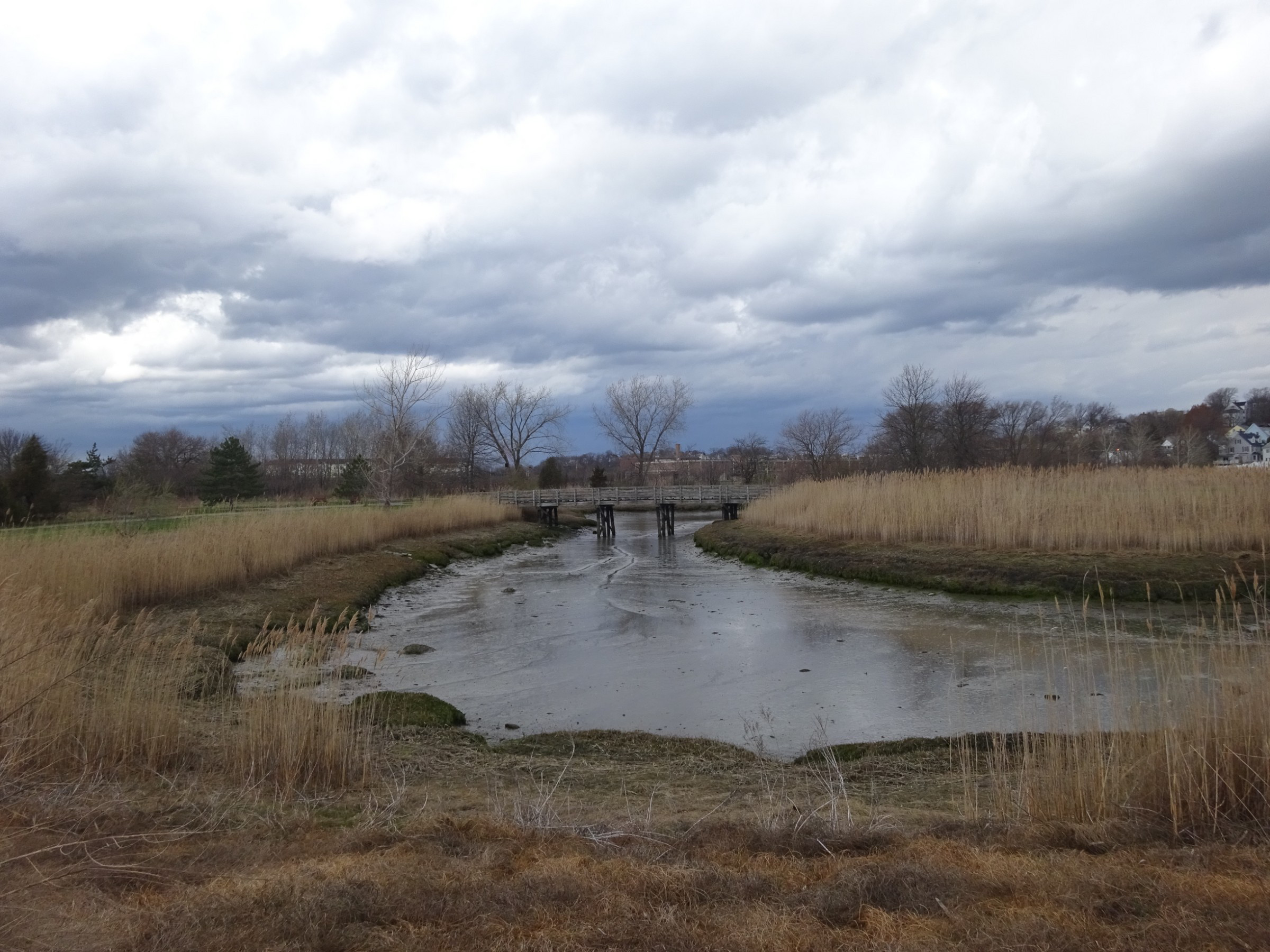 Escape to Nature's Embrace: Exploring Belle Isle Marsh Reservation