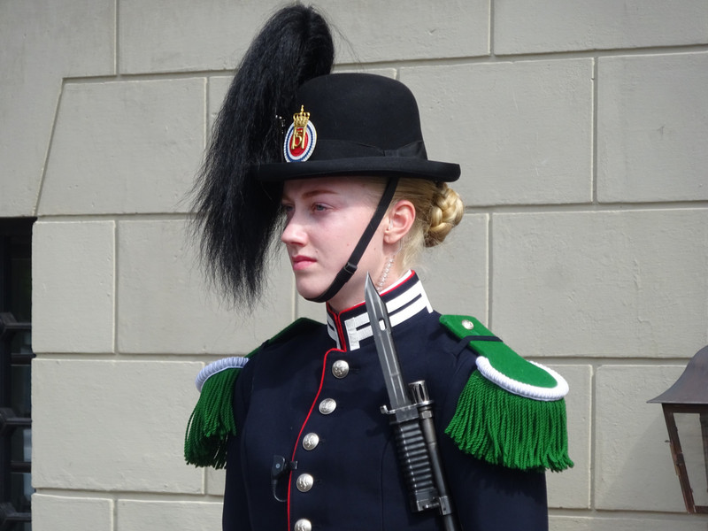 Guard, The Royal Palace