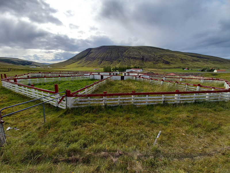Icelandic Sheep-Sorting Pen