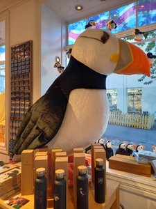 Giant Puffin