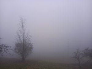 Misty Hike to Vaduz Castle