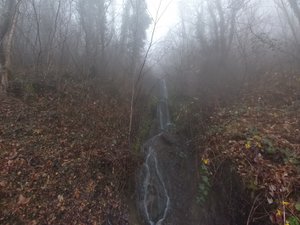 Misty Hike to Vaduz Castle