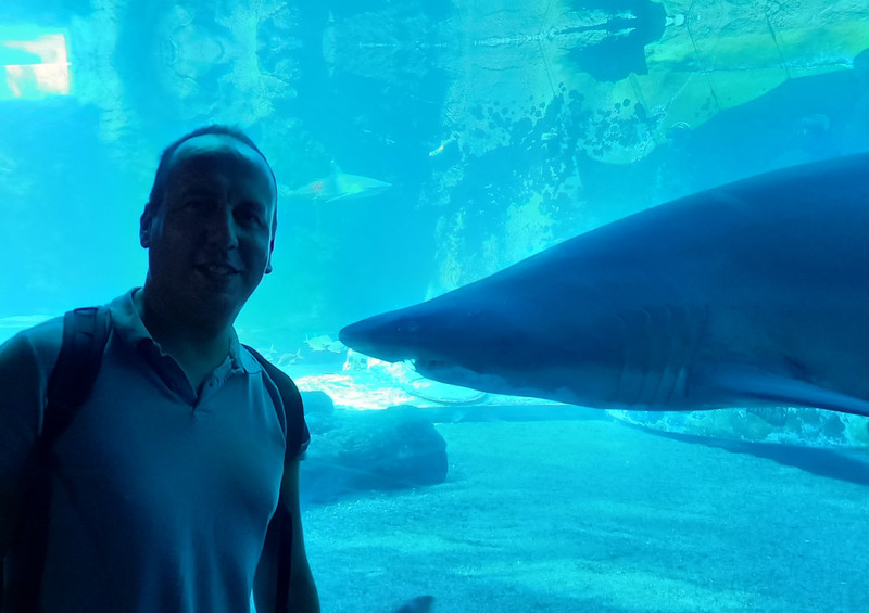 Me and a Shark