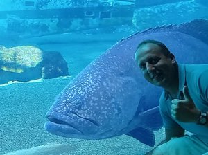 Me and a Grouper Fish