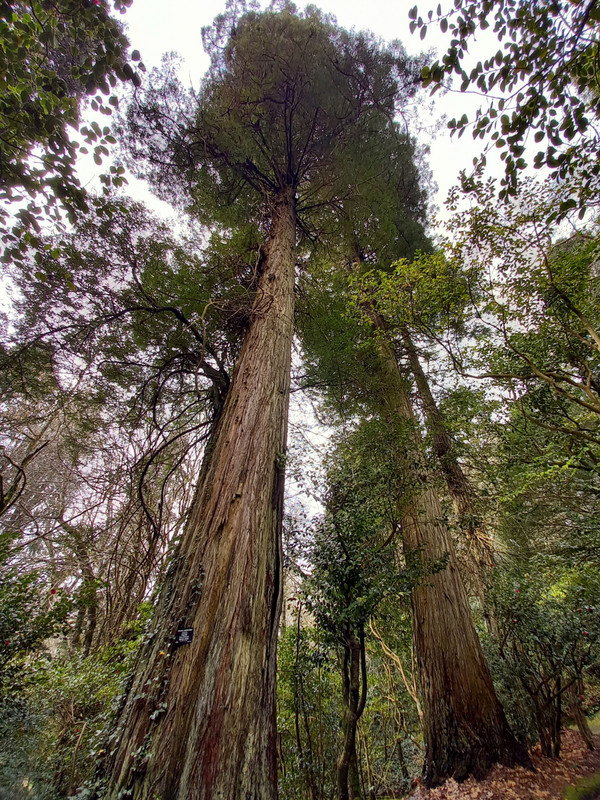 Parque Nacional da Pena