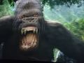 King Kong 360 3D