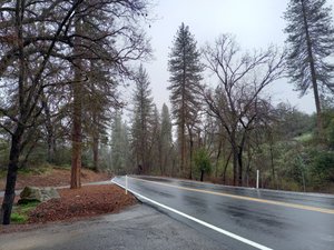 Driving Through the Sierra Nevada Foothills